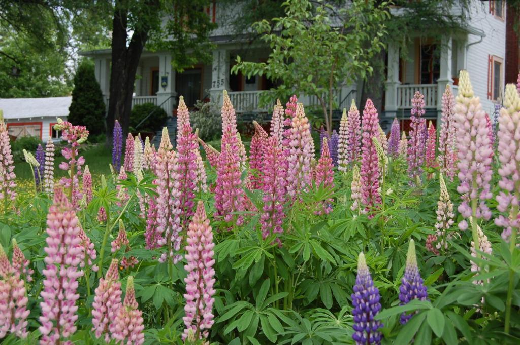 Bed and Breakfast Almatoit Экстерьер фото